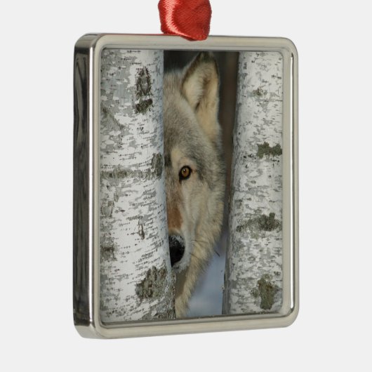 Verzierung mit pic des grauen Wolfs in einigen Ornament Aus Metall (Rechts)