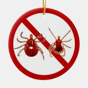 Verzierung oder Tür-Aufhänger, kein Lyme! Keramikornament