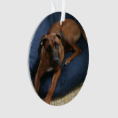 Verzierung Ornament (Vorderseite)