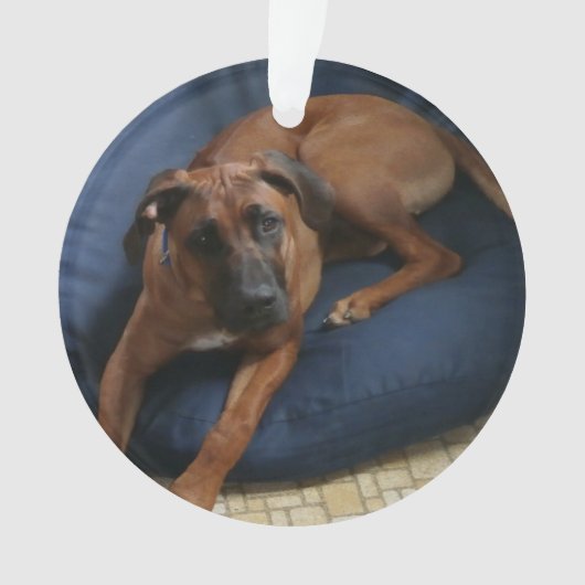 Verzierung Ornament (Vorderseite)