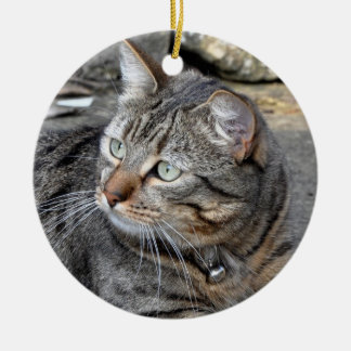 Verzierung: Tabbykatze Keramik Ornament