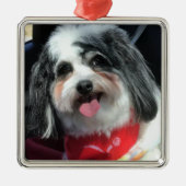 Verzierung, Weihnachten, Hundec$k-cee-Rot Ornament Aus Metall (Vorne)