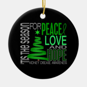 Verzierungen des Nierenerkrankung-Weihnachten1 Keramik Ornament