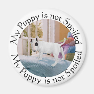 Verzogen? Bull Terrier Welpe . . . Nein Magnet