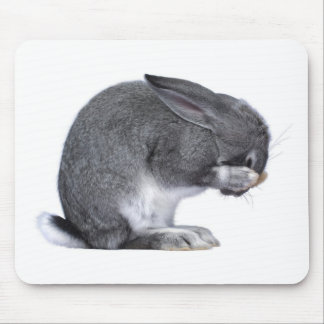Verzweifelndes Kaninchen Mousepad
