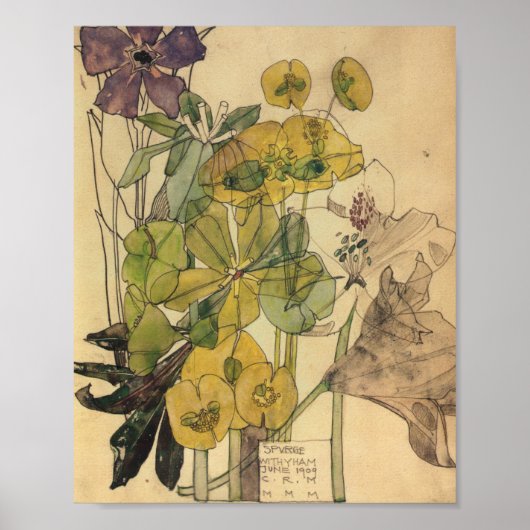 Verzweiflung mit Yham Blume Charles Rennie Mackint Poster (Vorne)