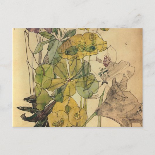 Verzweiflung mit Yham Blume Charles Rennie Mackint Postkarte (Vorderseite)