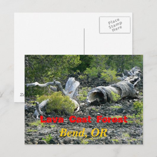 Verzweiflung Postkarte (Vorne/Hinten)