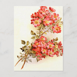 Verzweigung mit benutzerdefinierten Rose-Blume Postkarte