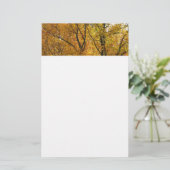 Verzweigungen gelber Blätter Heller Herbst farbenf Briefpapier (Stehend Vorderseite)