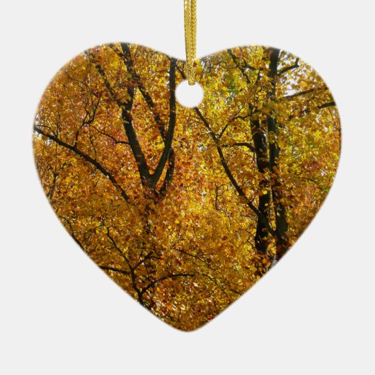 Verzweigungen gelber Blätter Heller Herbst farbenf Keramik Ornament (Vorne)