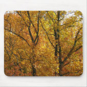Verzweigungen gelber Blätter Heller Herbst farbenf Mousepad (Vorne)
