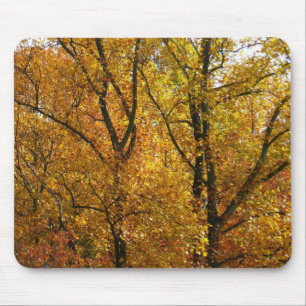 Verzweigungen gelber Blätter Heller Herbst farbenf Mousepad