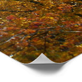 Verzweigungen gelber Blätter Heller Herbst farbenf Poster (Ecke)