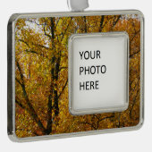 Verzweigungen gelber Blätter Heller Herbst farbenf Rahmen-Ornament Silber (Rechts)