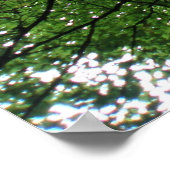 Verzweigungen und Blätter drucken Poster (Ecke)