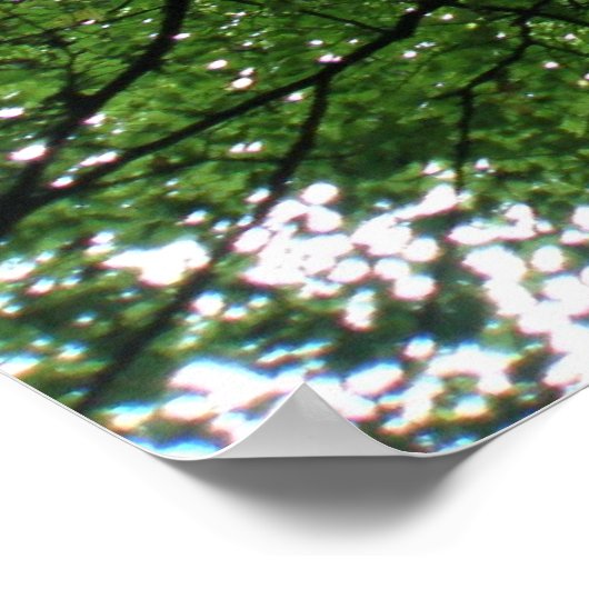 Verzweigungen und Blätter drucken Poster (Ecke)