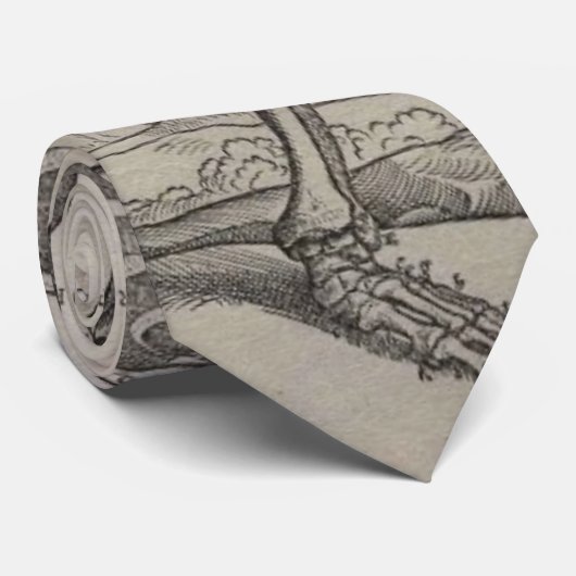 Vesalius Fabrica Krawatte (Gerollt)