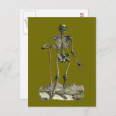 Vesalius: Skelettsystem Postkarte (Vorne/Hinten)