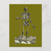Vesalius: Skelettsystem Postkarte (Vorderseite)