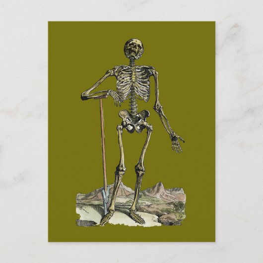 Vesalius: Skelettsystem Postkarte (Vorderseite)