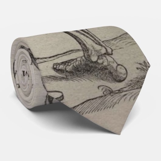 Vesaliuss Fabrica Krawatte (Gerollt)