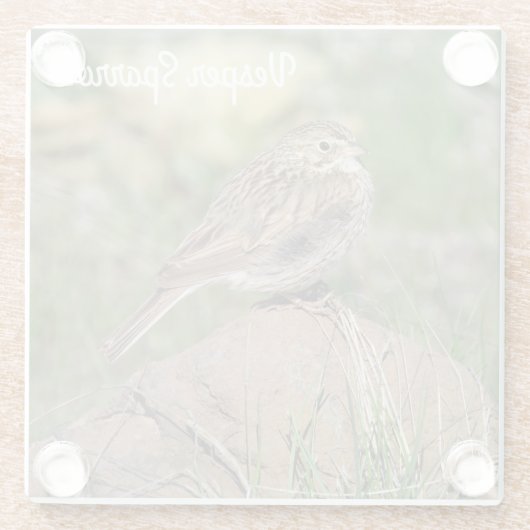 Vesper Sparrow Glasuntersetzer (Rückseite)