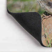 Vesper Sparrow Mousepad (Ecke)