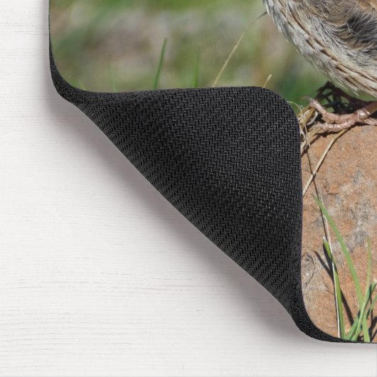 Vesper Sparrow Mousepad (Ecke)