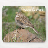 Vesper Sparrow Mousepad (Vorne)