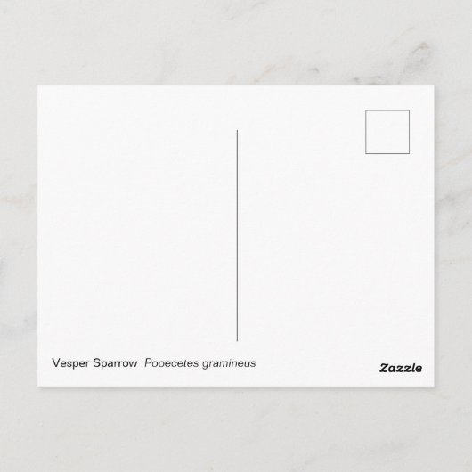Vesper Sparrow Postkarte (Rückseite)