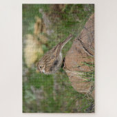 Vesper Sparrow Puzzle (Vertikal)
