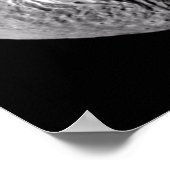 Vesta und Asteroid Gallery Poster (Ecke)