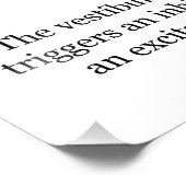 Vestibulo Ocular Reflex VOR Augenbewegung stabilis Fotodruck (Ecke)