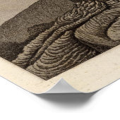 Vesuve, Dolomieu Poster (Ecke)