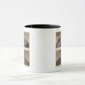 Vesuve, Dolomieu Tasse (Zentrum)