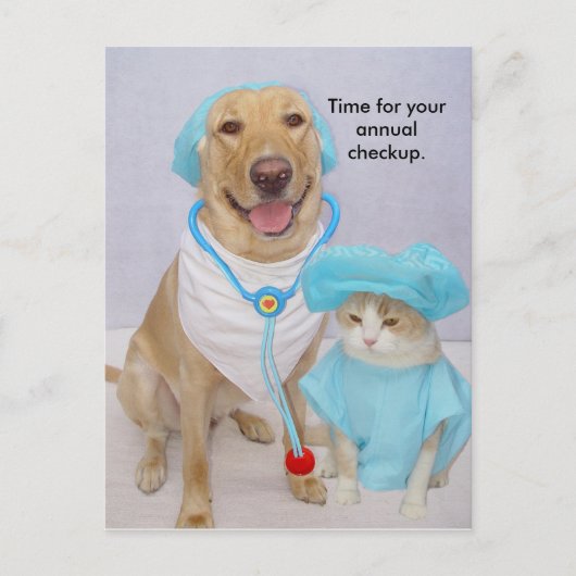 Vet Checkup-Erinnerung Postkarte (Vorderseite)