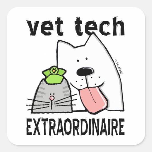 Vet Tech Extraordinator Quadratischer Aufkleber (Vorderseite)