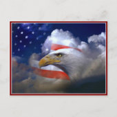 Veterans Day American Flag and Eagle Postcard Postkarte (Vorderseite)