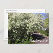 Veterans Memorial Park Hutchinson MN Postkarte (Vorne/Hinten)