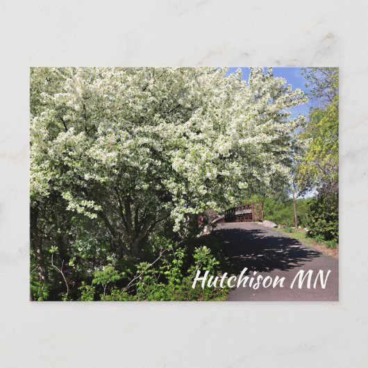 Veterans Memorial Park Hutchinson MN Postkarte (Vorderseite)