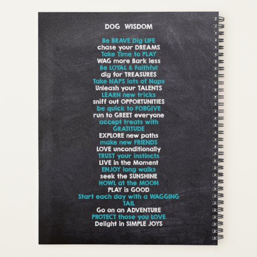 Veterinär - Phantastischer Wunderarbeiter von Frea Planer (Rückseite)