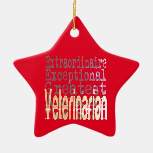 Veterinär-Sonderbeauftragter Keramik Ornament (Vorne)