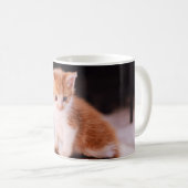 Veterinär Vet Orange Kitten Kaffeetasse (VorderseiteRechts)