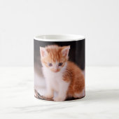 Veterinär Vet Orange Kitten Kaffeetasse (Mittel)