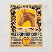 Veterinäramt Postkarte (Vorderseite)