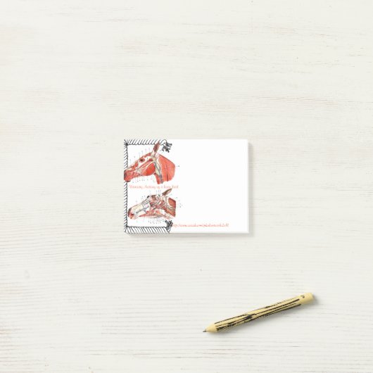 "Veterinäranatomie eines Pferdekopfs " Post-it Klebezettel (Auf Schreibtisch)