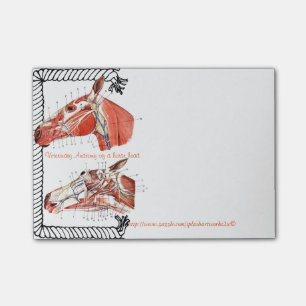 "Veterinäranatomie eines Pferdekopfs " Post-it Klebezettel