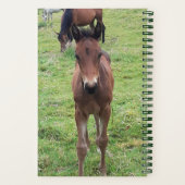 Veterinärbericht für Yards Notizblock (Rückseite)