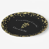 Veterinarian Gold Graduation Pappteller (Schrägansicht)